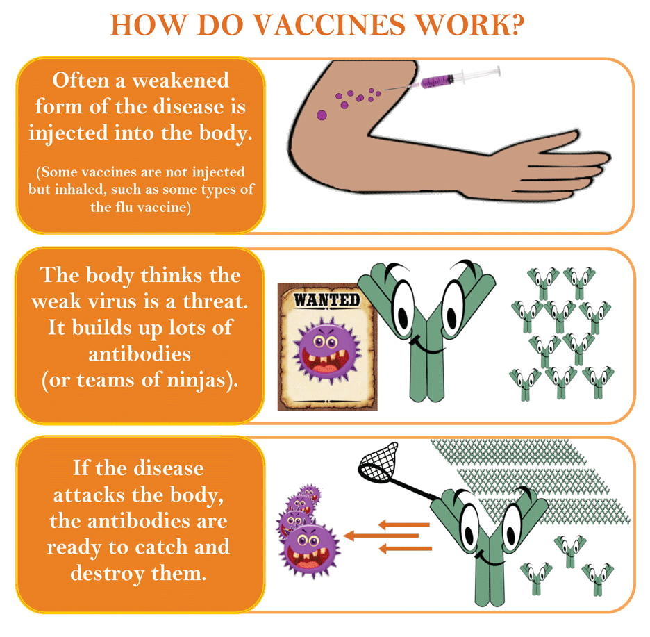 vaccines